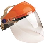 ProChoice Assembled Browguard with Visor